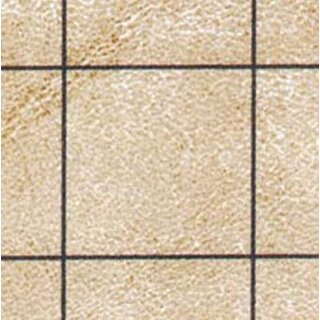 Reversible Chessex Battlemat 1