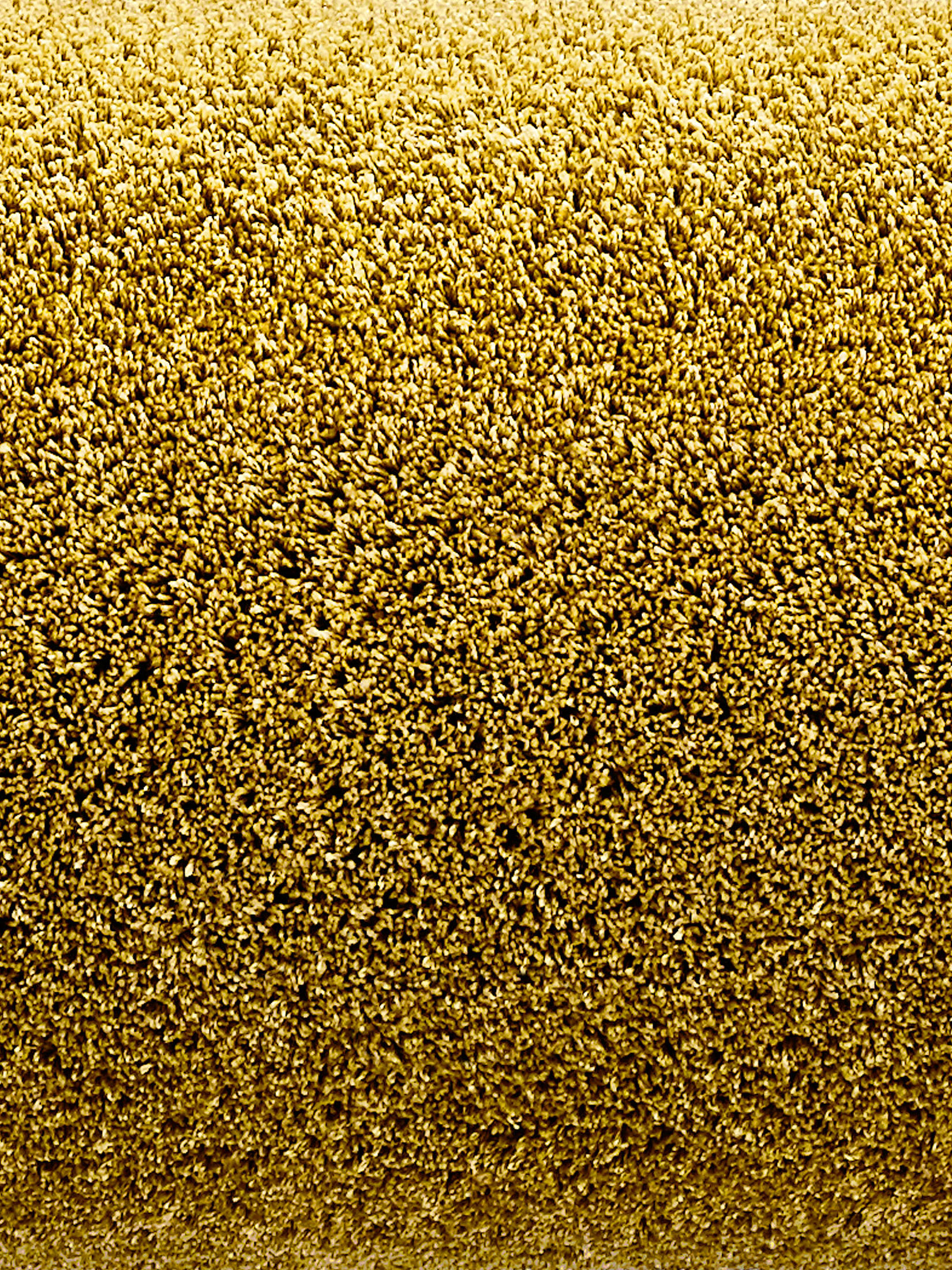 Sensation Hochflor-Teppich, Gold
