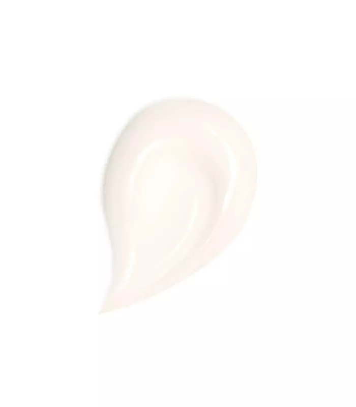 ABEILLE ROYALE Honey Treatment Crème Jour- RECHARGE