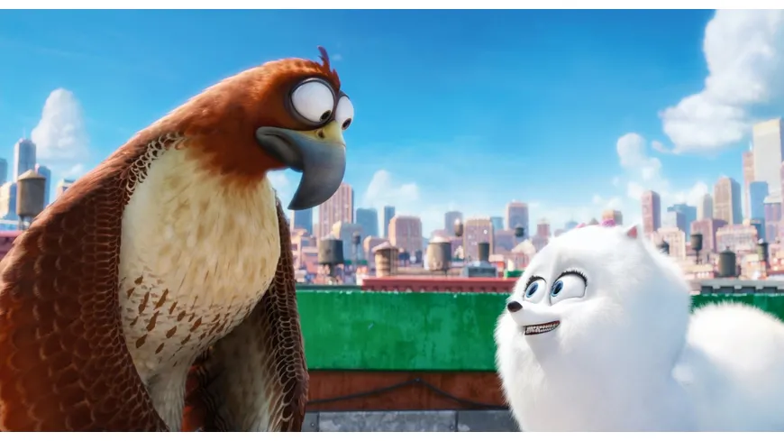 Pets (Illumination)