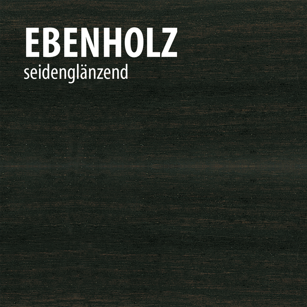 Baufix Wetterschutz-Holzgel Ebenholz