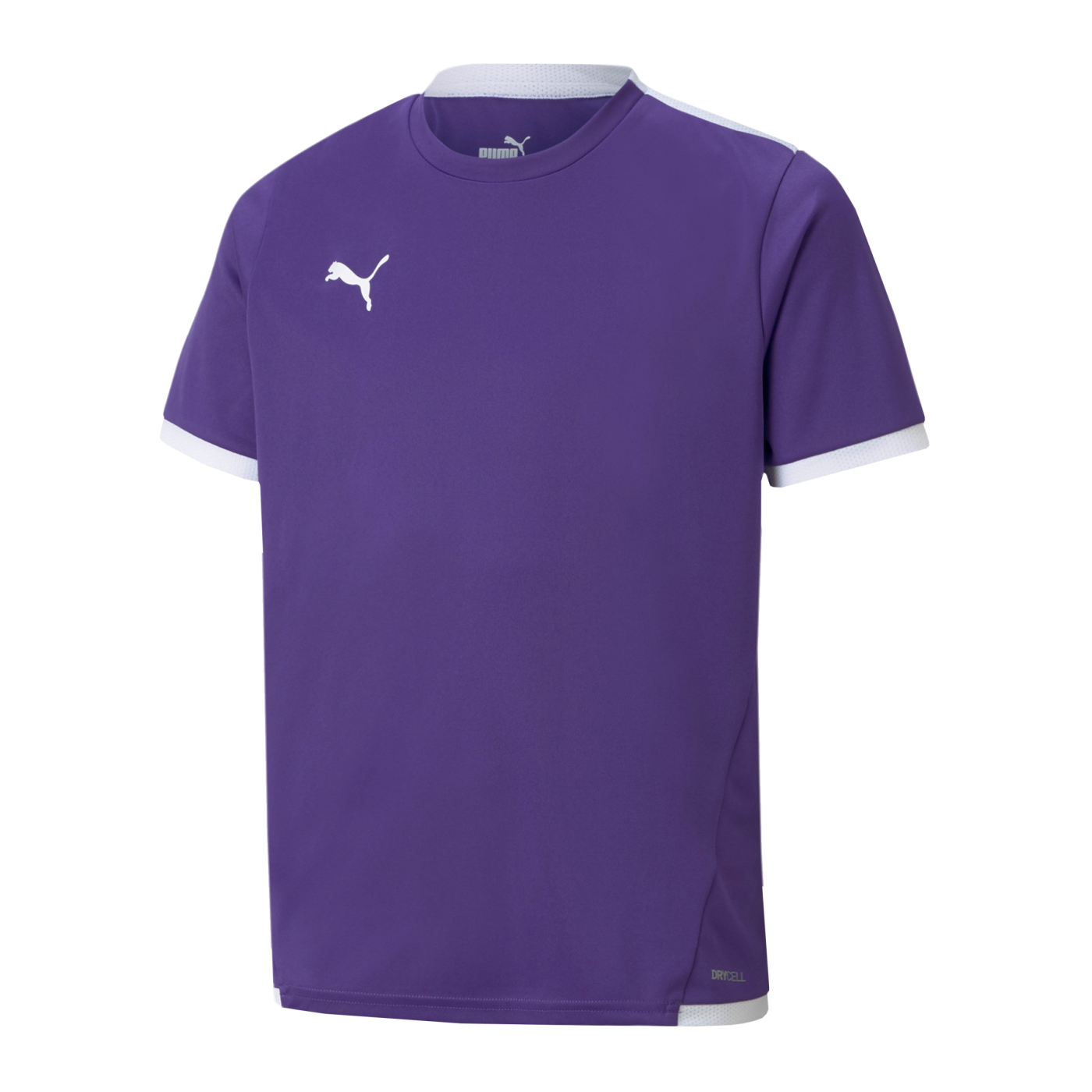 PUMA teamLIGA Trikot Kids Lila F10
