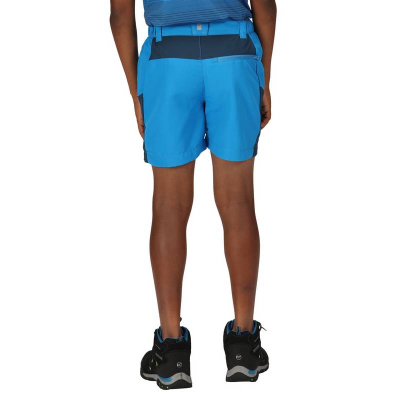 Regatta Sorcer Mountain III Shorts Kinder