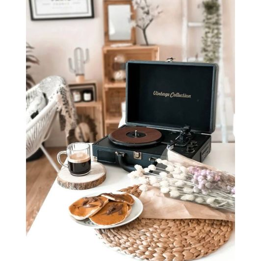 Platine vinyle TD MUSE MT-103 GD