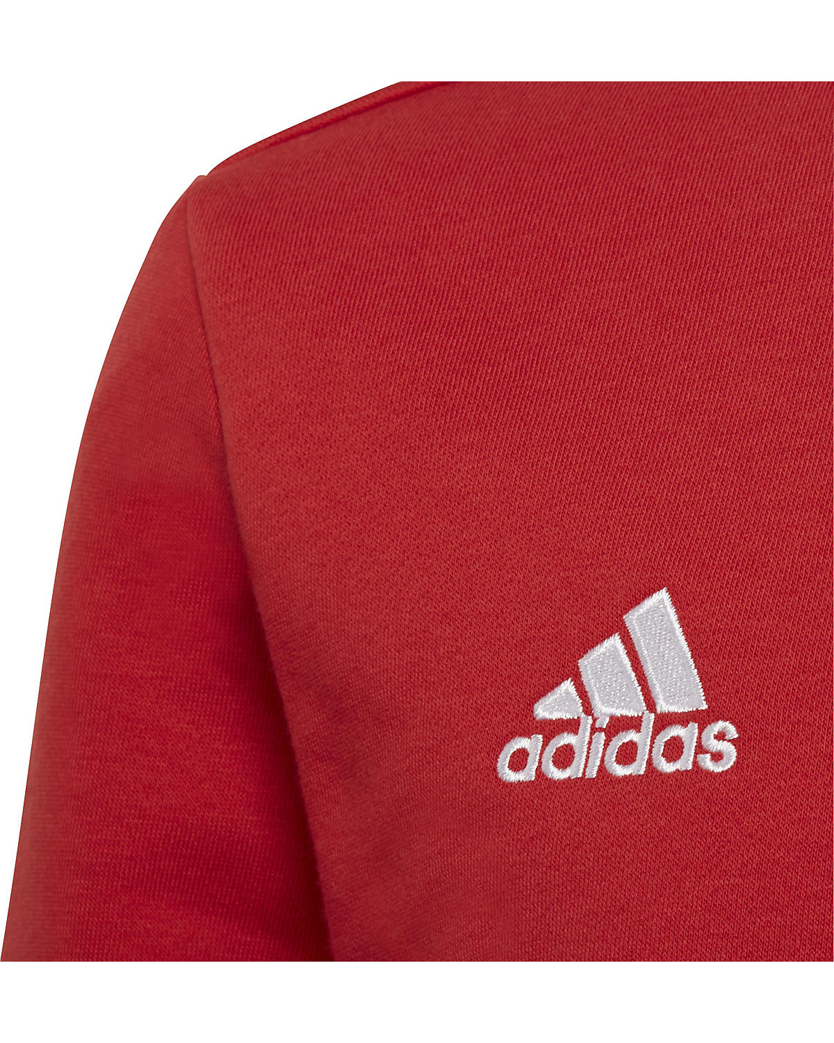 Sweatshirt ENT22 SW TOPY für Jungen