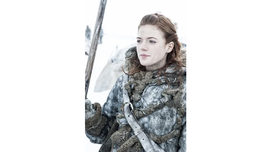 Game of Thrones - Staffel 3  [5 DVDs]
