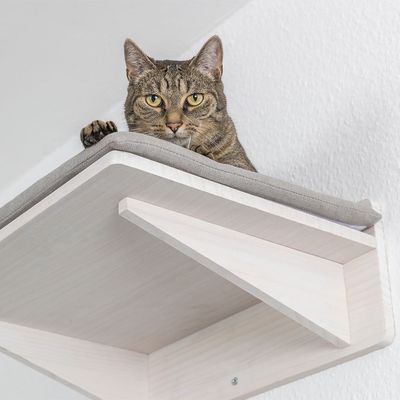 Trixie Liegeplatte mit Kissen