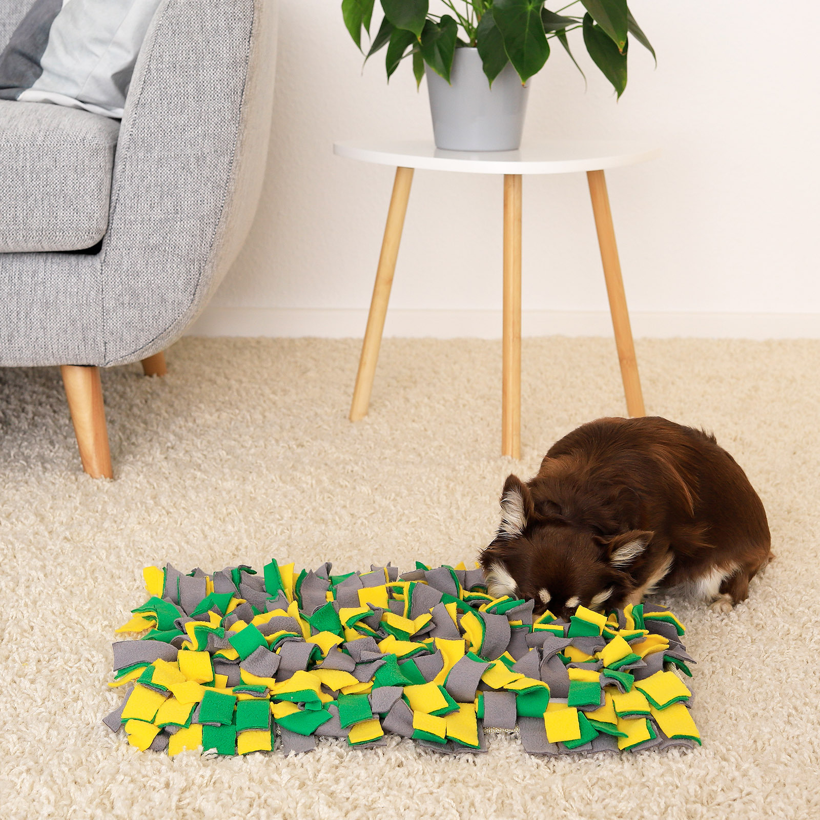 Lionto Intelligenzspielzeug Lionto Schnüffelteppich für Hunde gelb/ grün