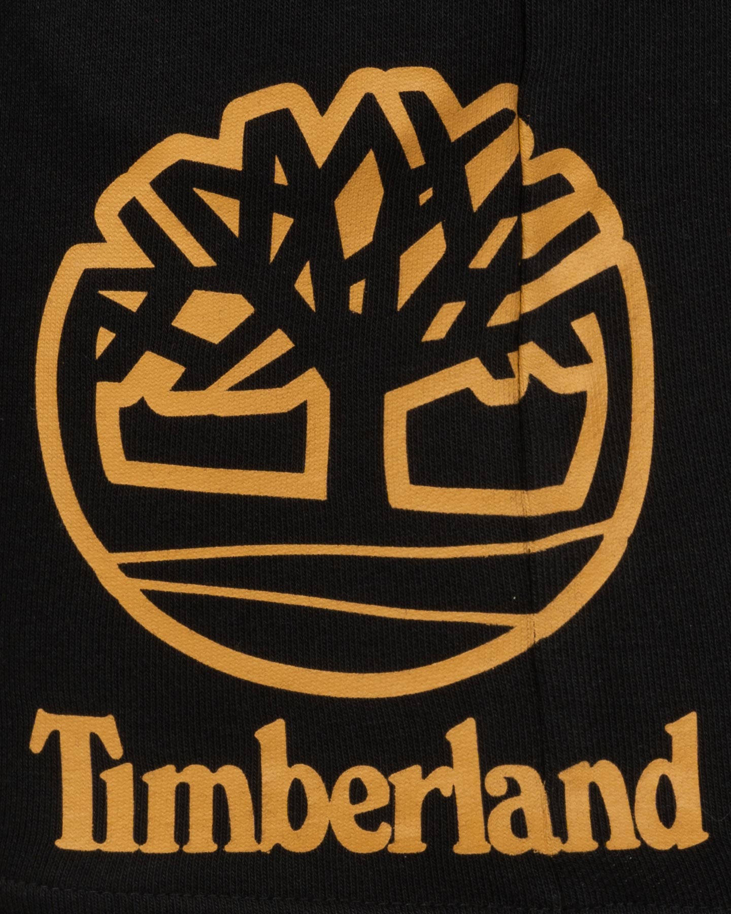 Bermudy Timberland Plogo Jr T60385/09B