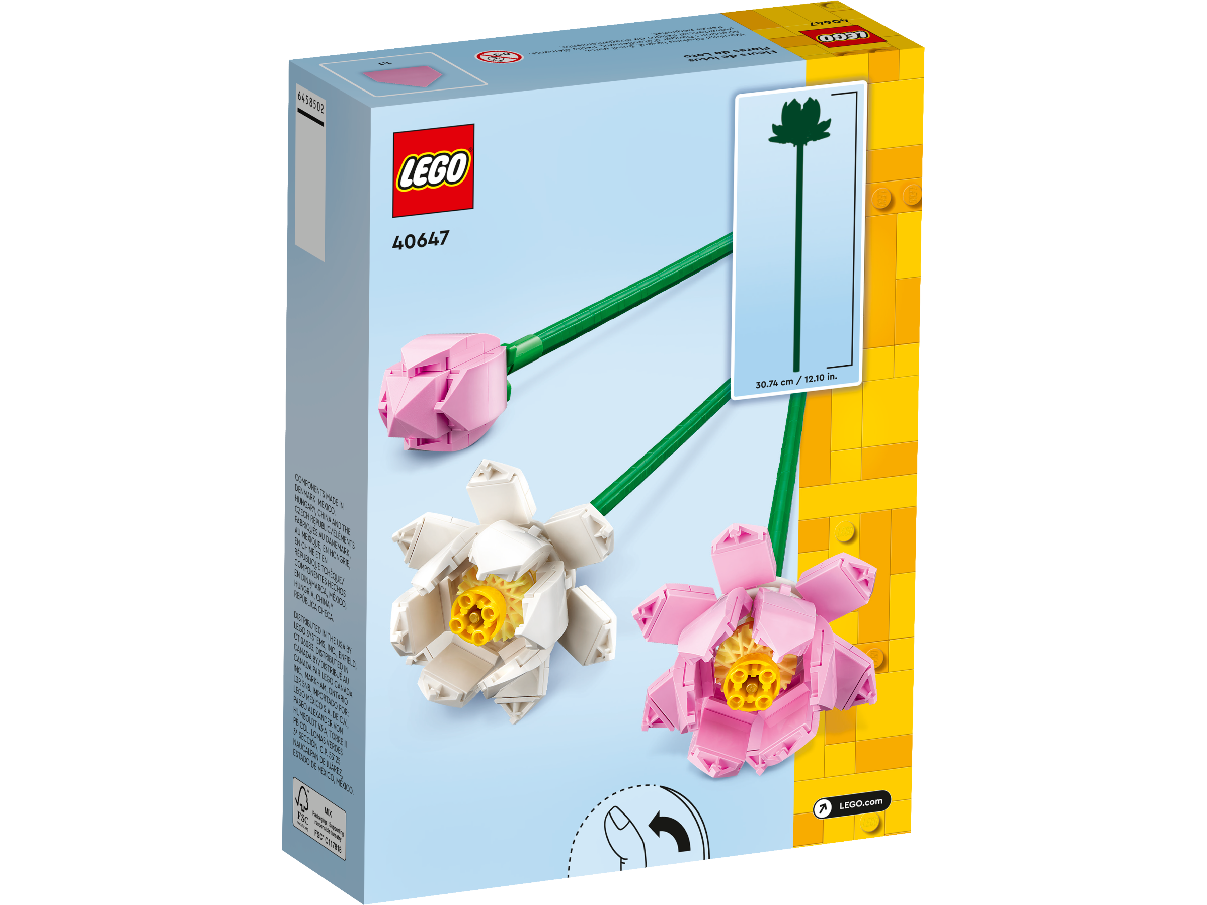 Lotusblumen 40647