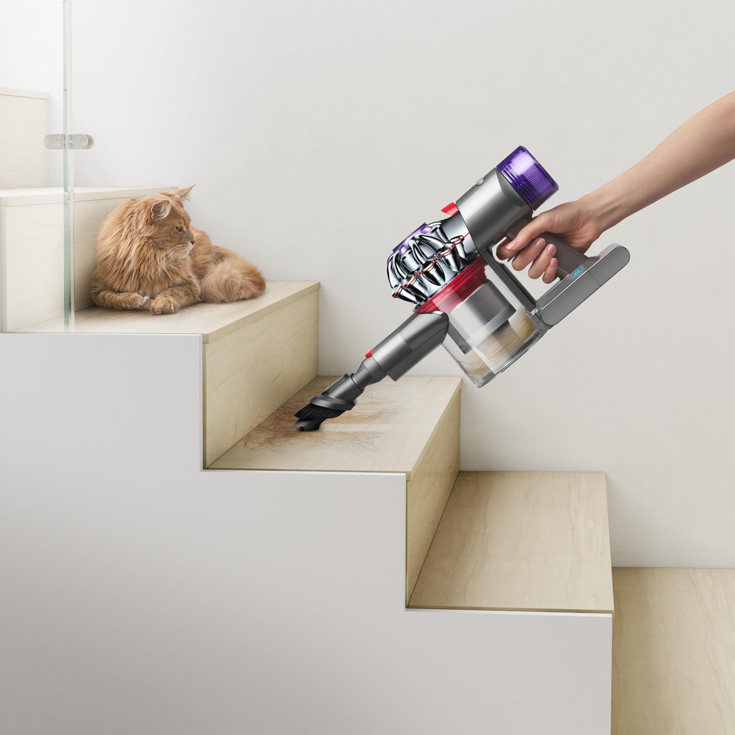 DYSON Akku-Stielstaubsauger V8 Origin, 425,00 W, beutellos, kabellos, beutellos
