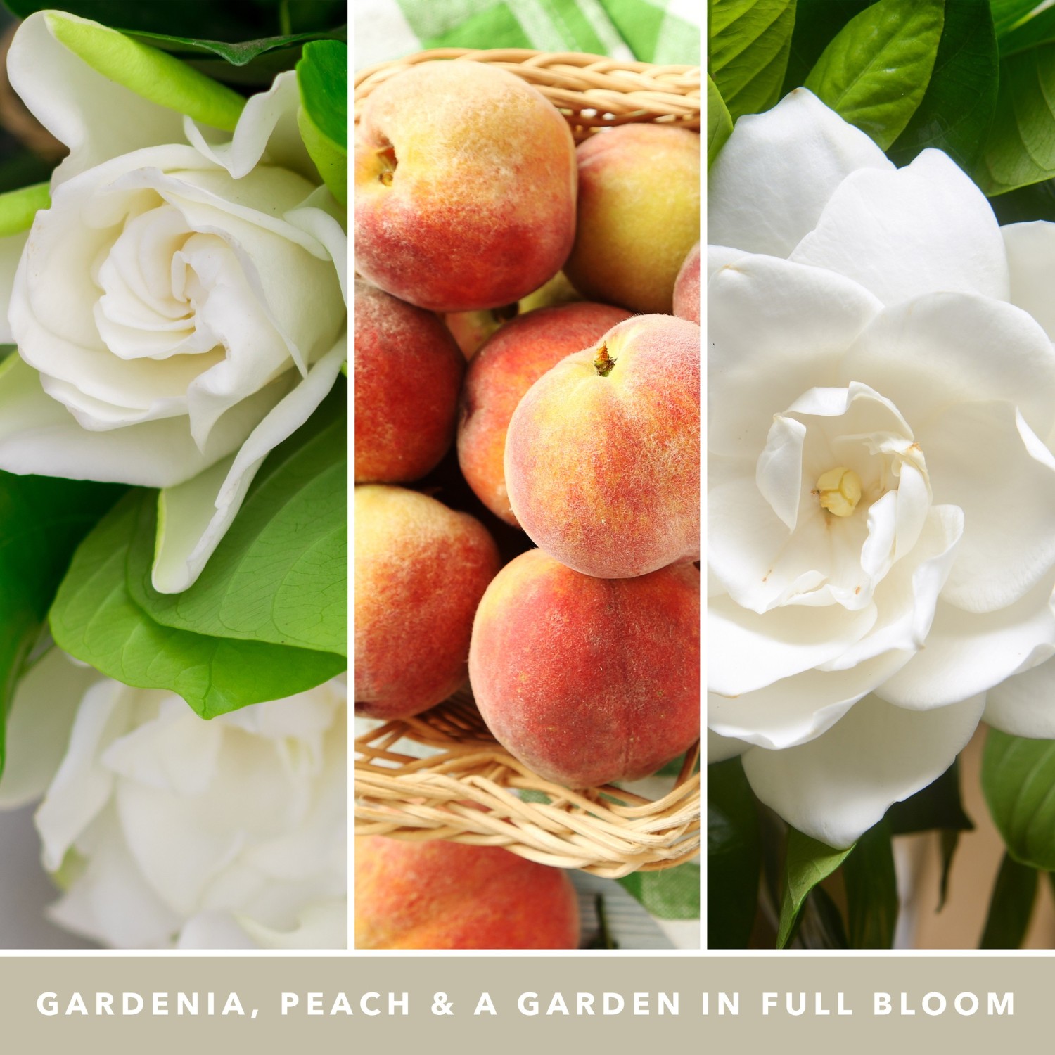 YANKEE CANDLE Nagy Fehér Gardenia Pohár