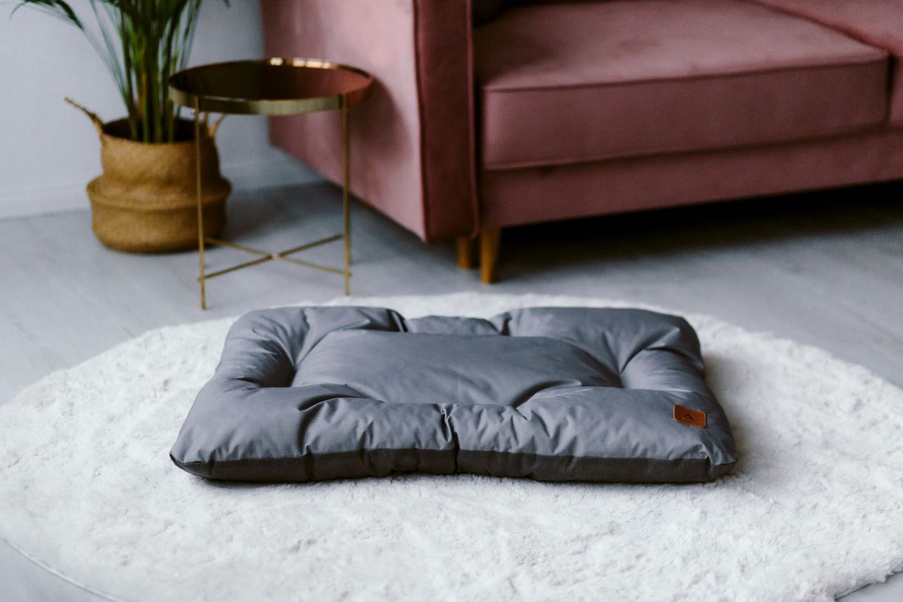 Animood Hundebett-Kissen Mort grau L Tierbett Tiersofa