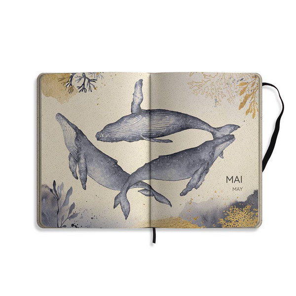 MATABOOKS - KALENDER SAMAYA 2024 FARBE: OCEANBLUE (DE/EN) - Kalender