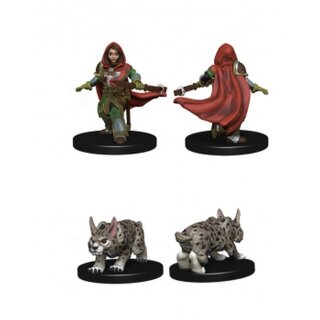 WizKids Painted Miniatures: Girl Ranger & Lynx