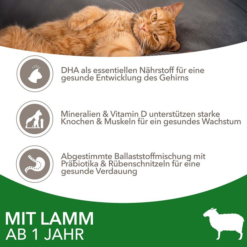 IAMS Advanced Nutrition Adult Cat mit Lamm