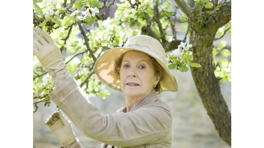 Downton Abbey - Staffel 5  [4 DVDs]