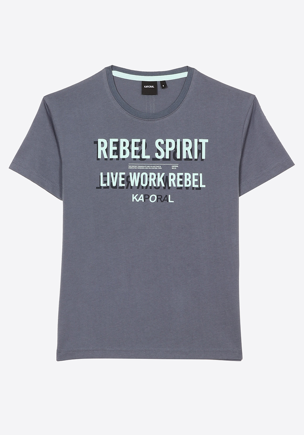 PIRGO  T-shirt bleu gris Garçon en 100% coton