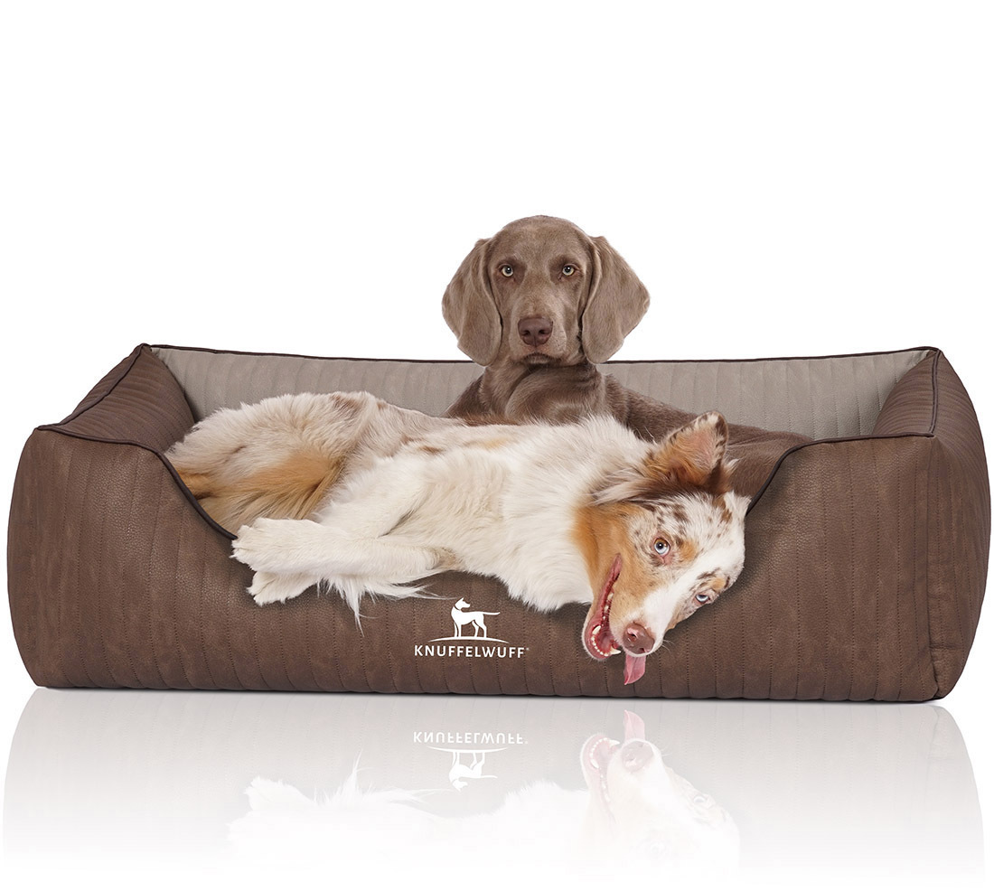 Knuffelwuff Hundebetten Knuffelwuff Orthopädisches Hundebett Outlander aus laser-gestepptem Kunstleder braun/ grau XXL