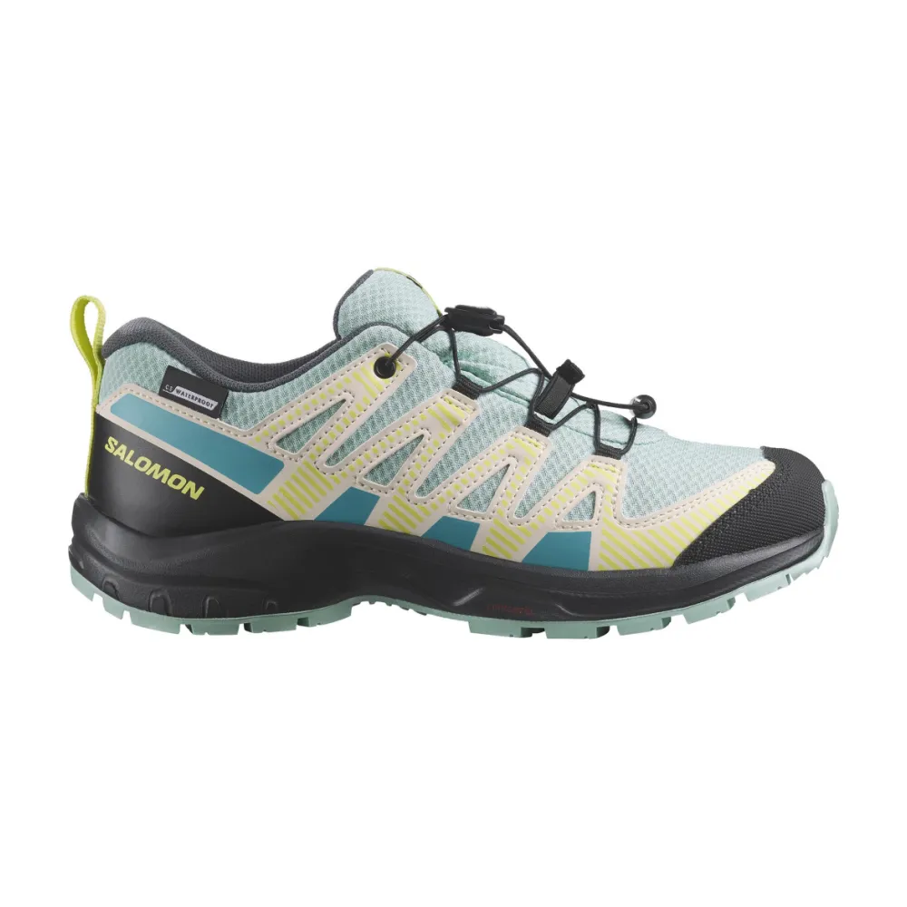 Salomon XA PRO V8 CSWP L47434800 / bunt