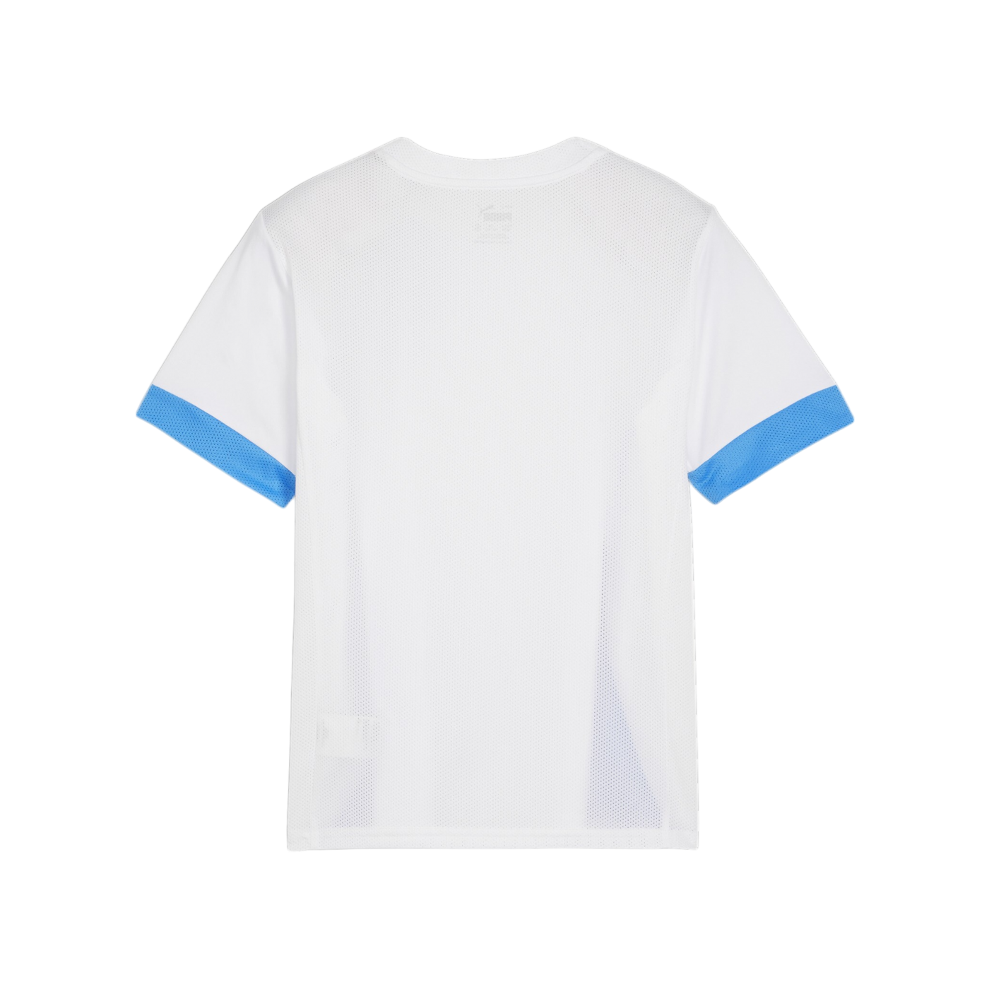 PUMA teamGOAL Matchday Trikot Kids Weiss Blau F12
