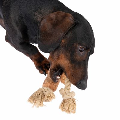TIAKI Hundespielzeug Kork-Ast mit Seil