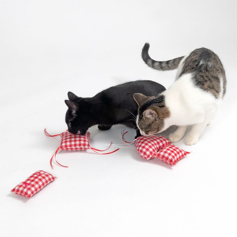 TIAKI Vichy Katzenminze-Kissen zu TOP-Preisen