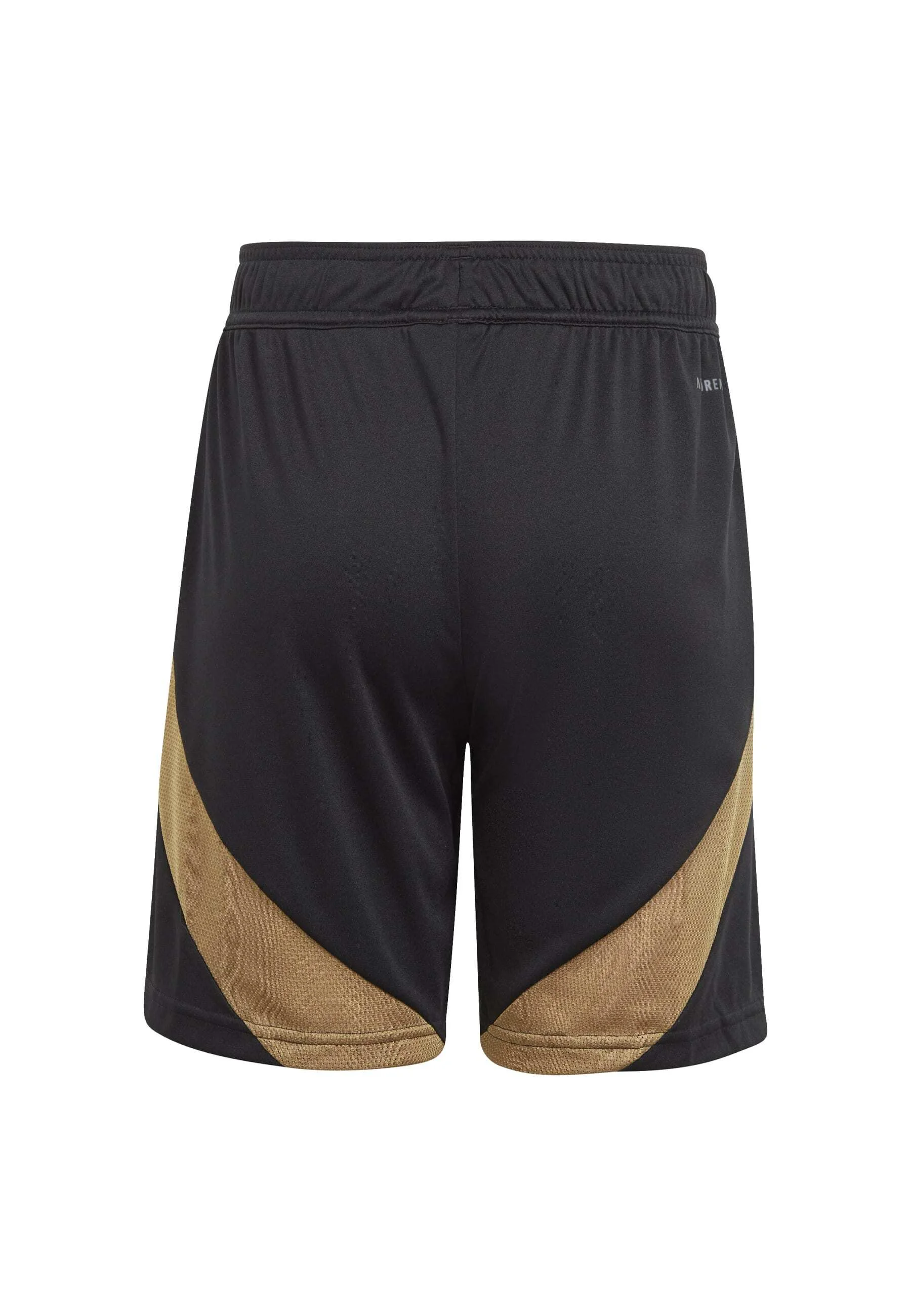 adidas Performance BELGIUM RBFA HOME - Pantalones cortos deportivos