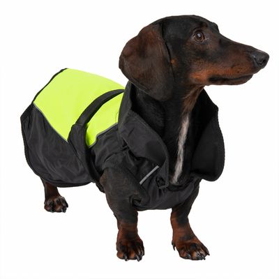 Hundemantel Illume Nite Neon