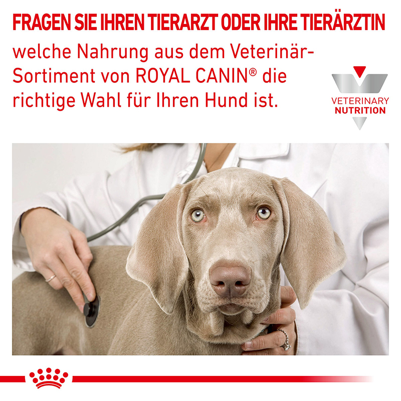 ROYAL CANIN Herz & Leber ROYAL CANIN Veterinary Diet Cardiac 12x410g
