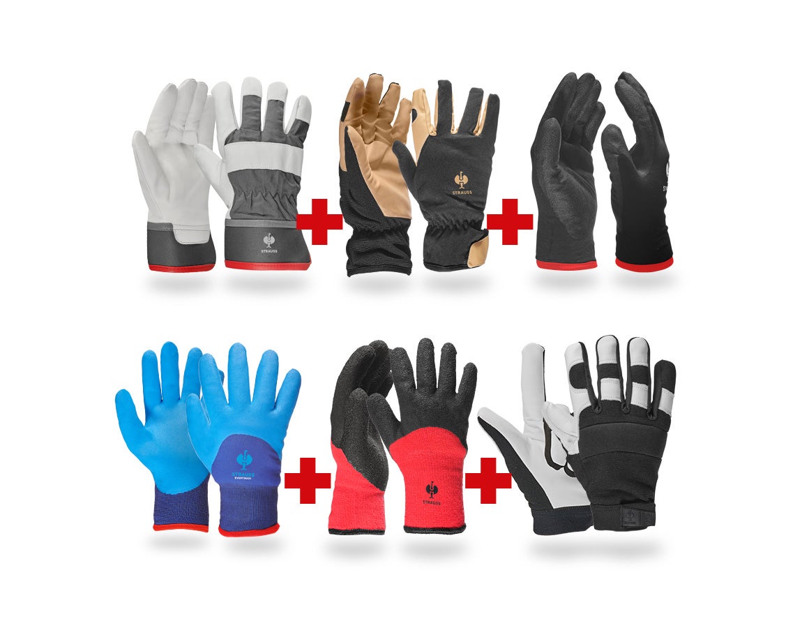 Handschuh-Profi Set Winter