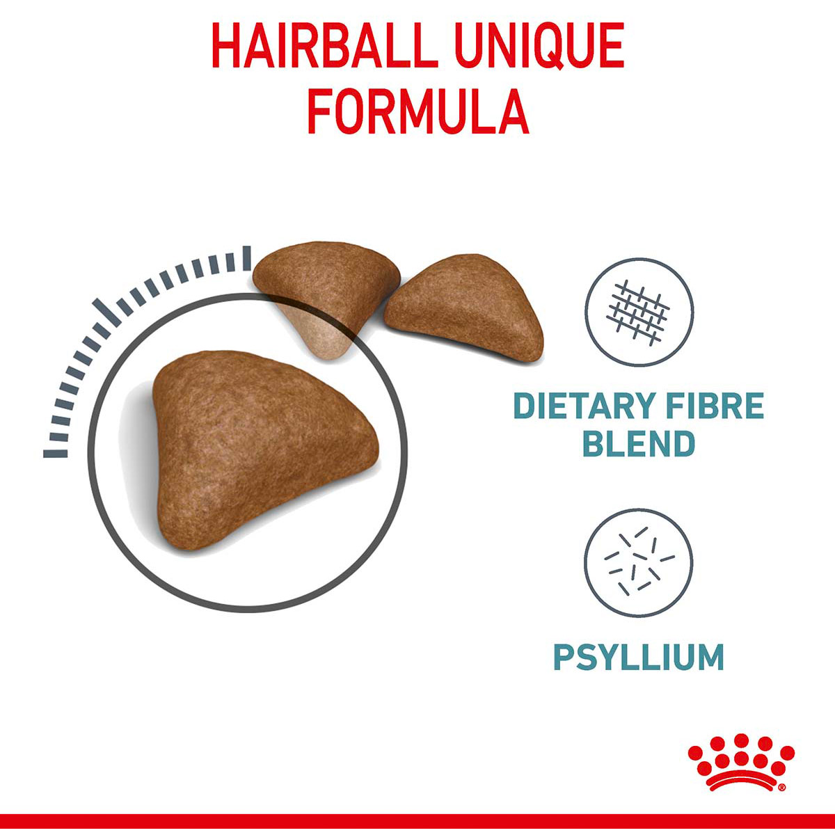 Royal Canin FCN Hairball Care günstig kaufen