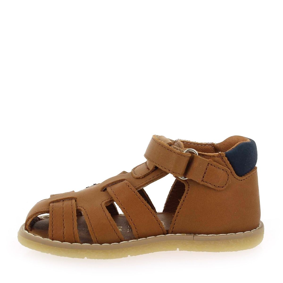 Bellamy  DONJON E23 - Camel