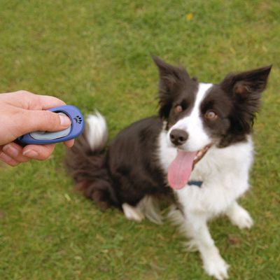 Company of Animals Multi-Clicker