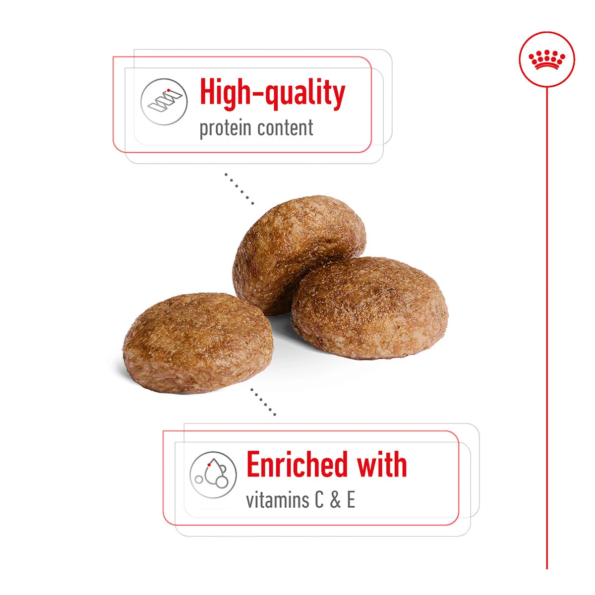 ROYAL CANIN MEDIUM Adult 7+ Trockenfutter für ältere mittelgroße Hunde