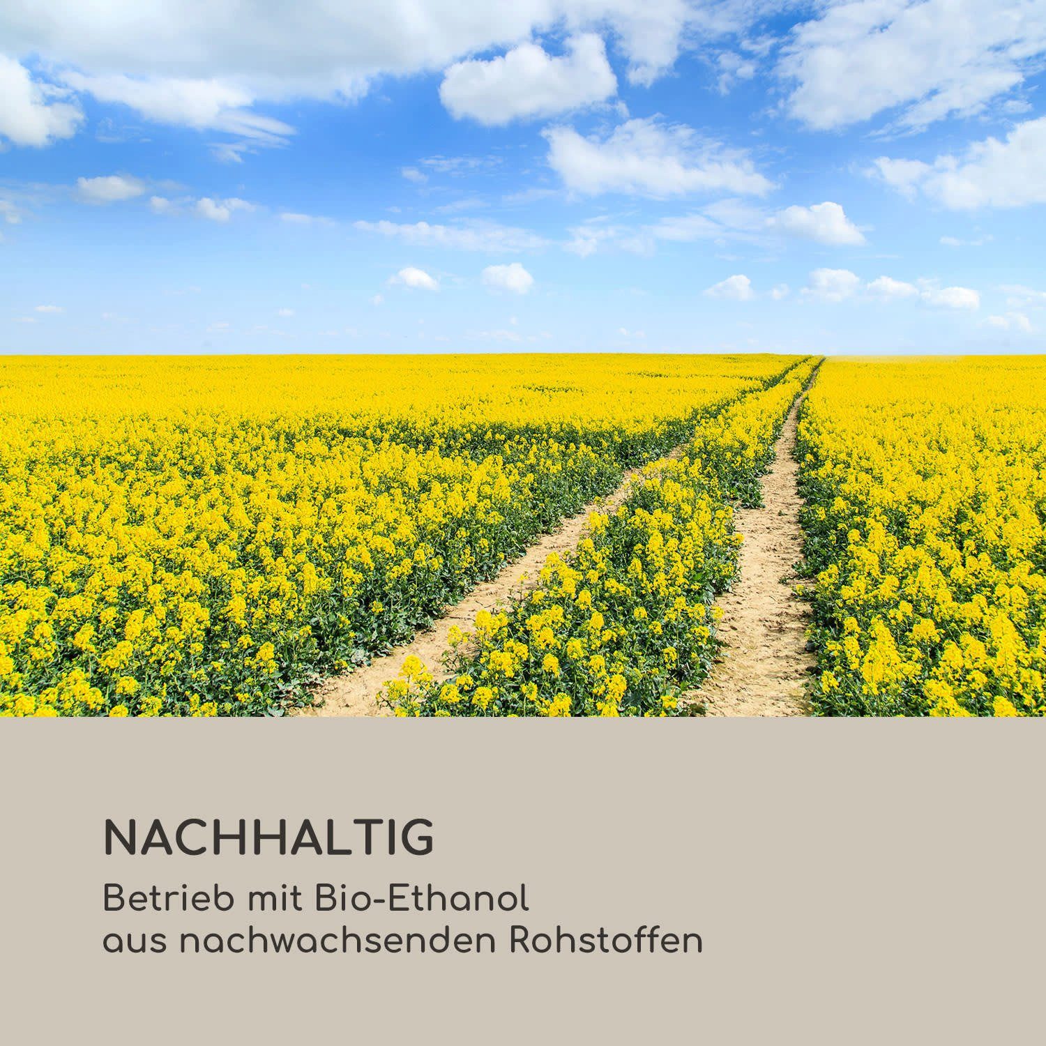 Blumfedt Echtfeuer-Dekokamin Fiamme Pila Ethanol-Kamin