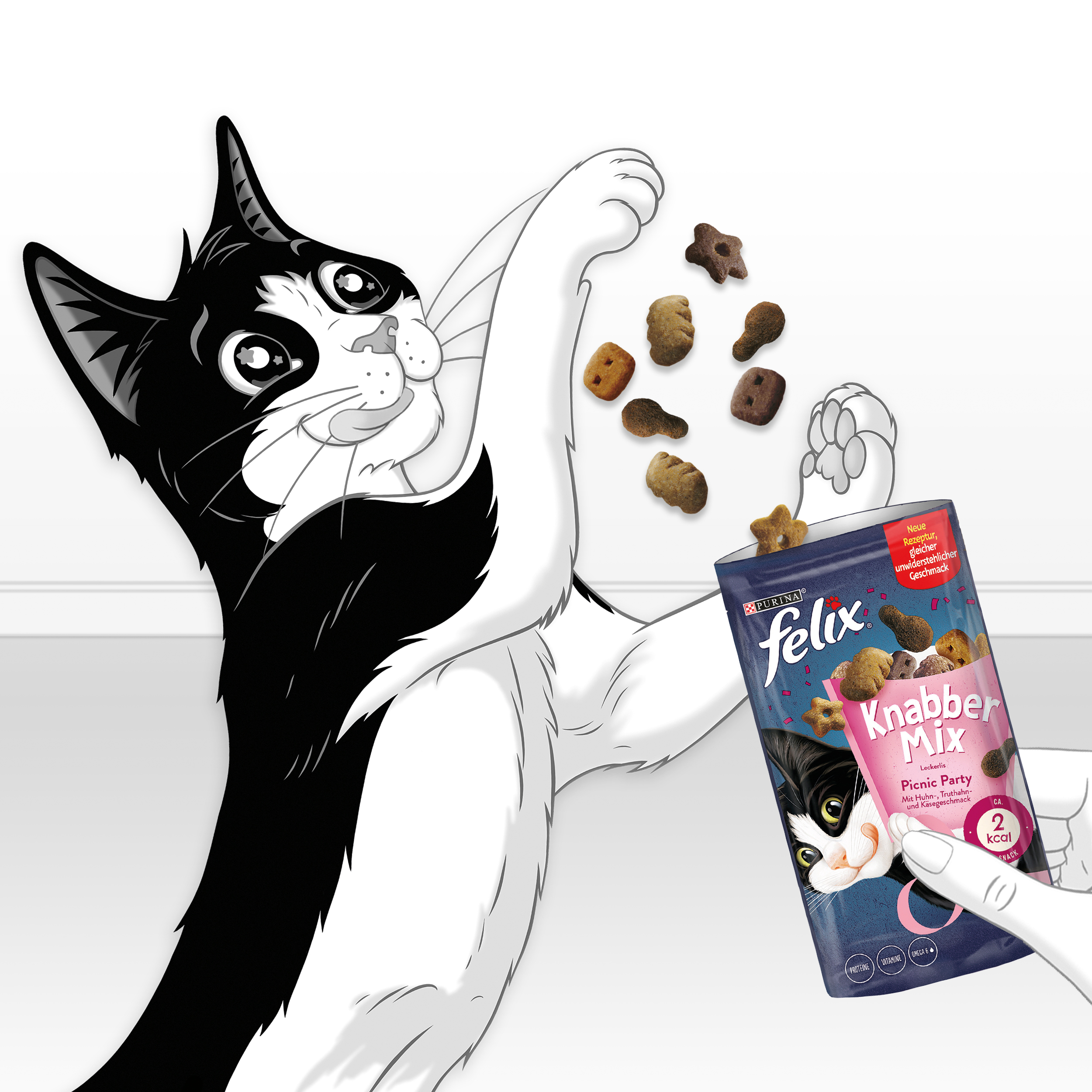 Felix Snacks Felix KnabberMix 8x60g Picnic Party