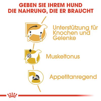 Royal Canin Dachshund Mousse