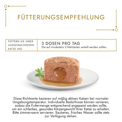 Mix-Sparpaket Gourmet Gold 48 x 85 g
