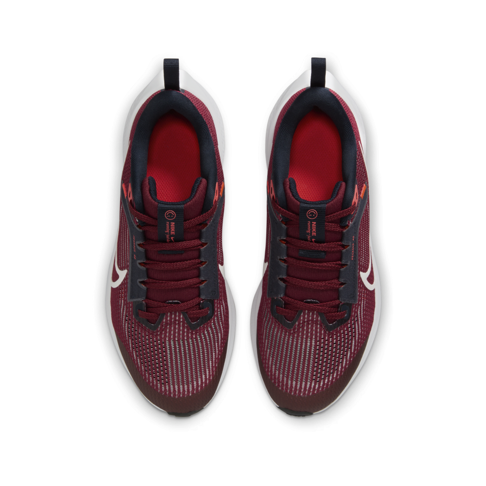 Nike Air Zoom Pegasus 40 DX2498-009 / grau