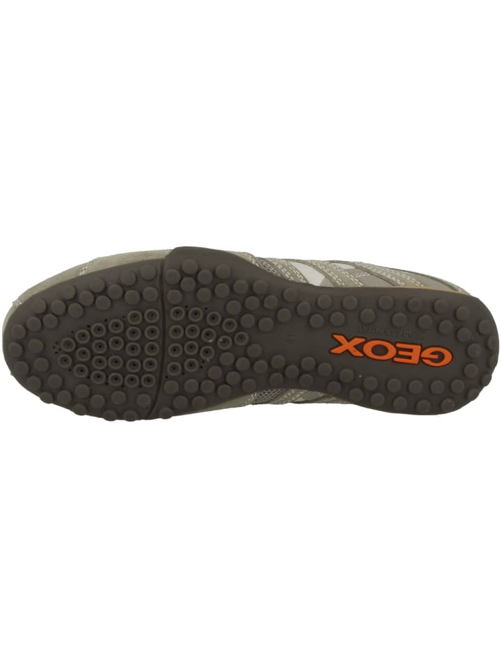 Geox Slipper U Snake L in beige günstig kaufen