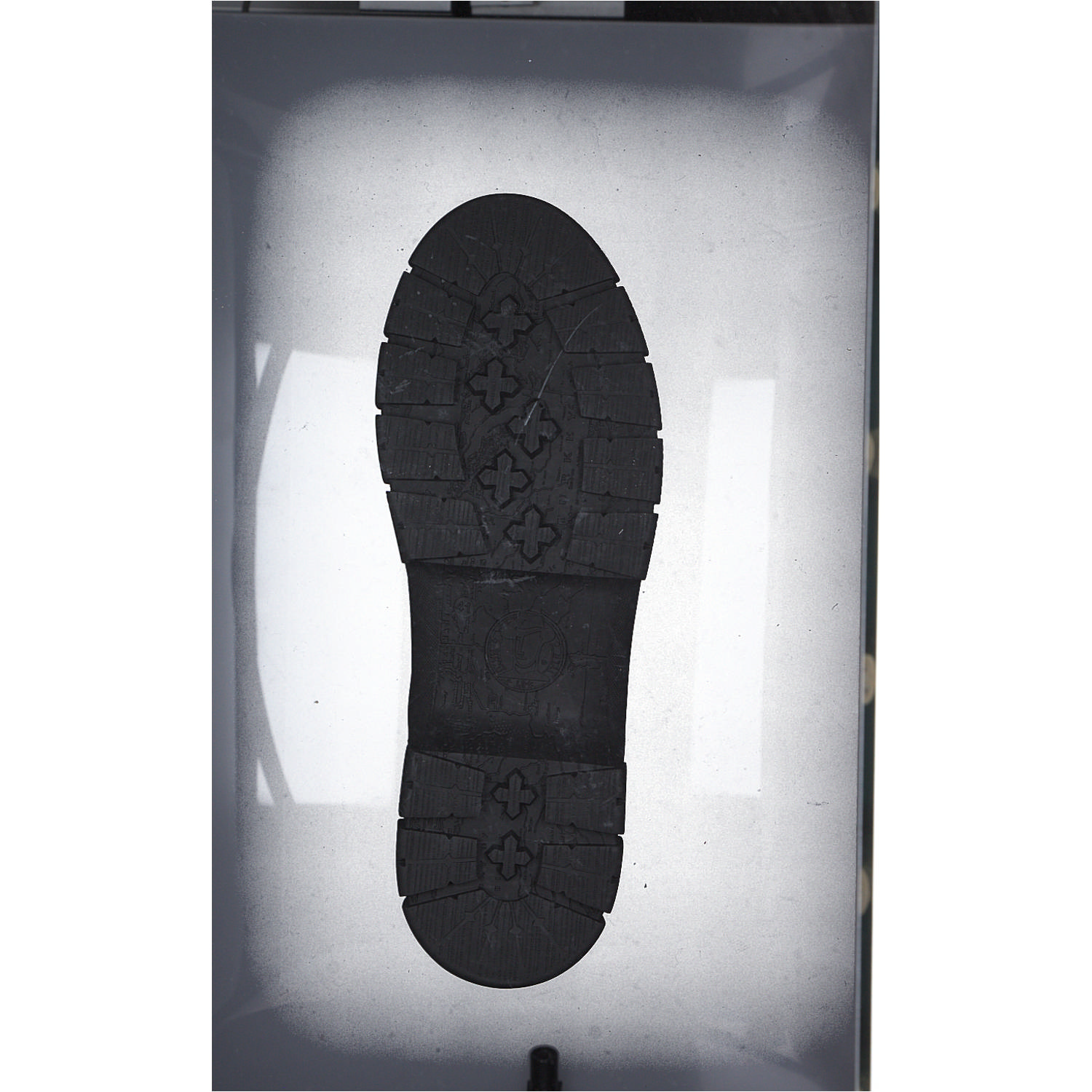 Panama Jack Nery Igloo B, Winterstiefeletten, Damen, Schwarz