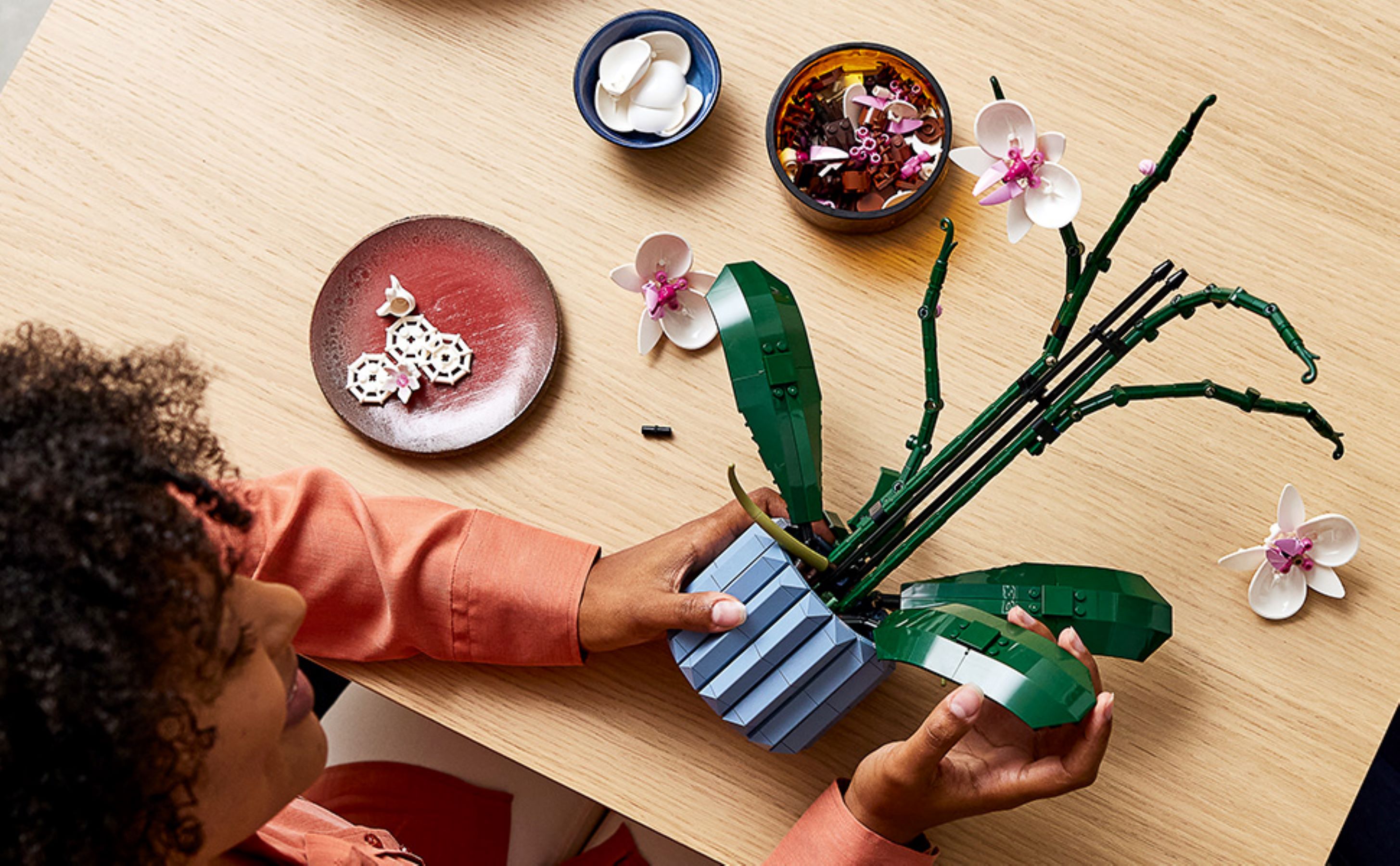 Orchidee 10311