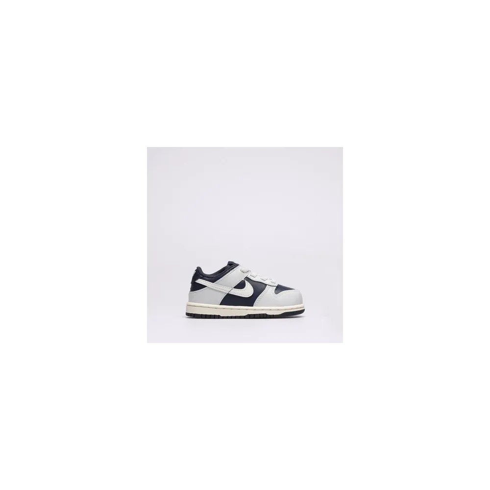 Nike Dunk Low FB9107-002 / grau