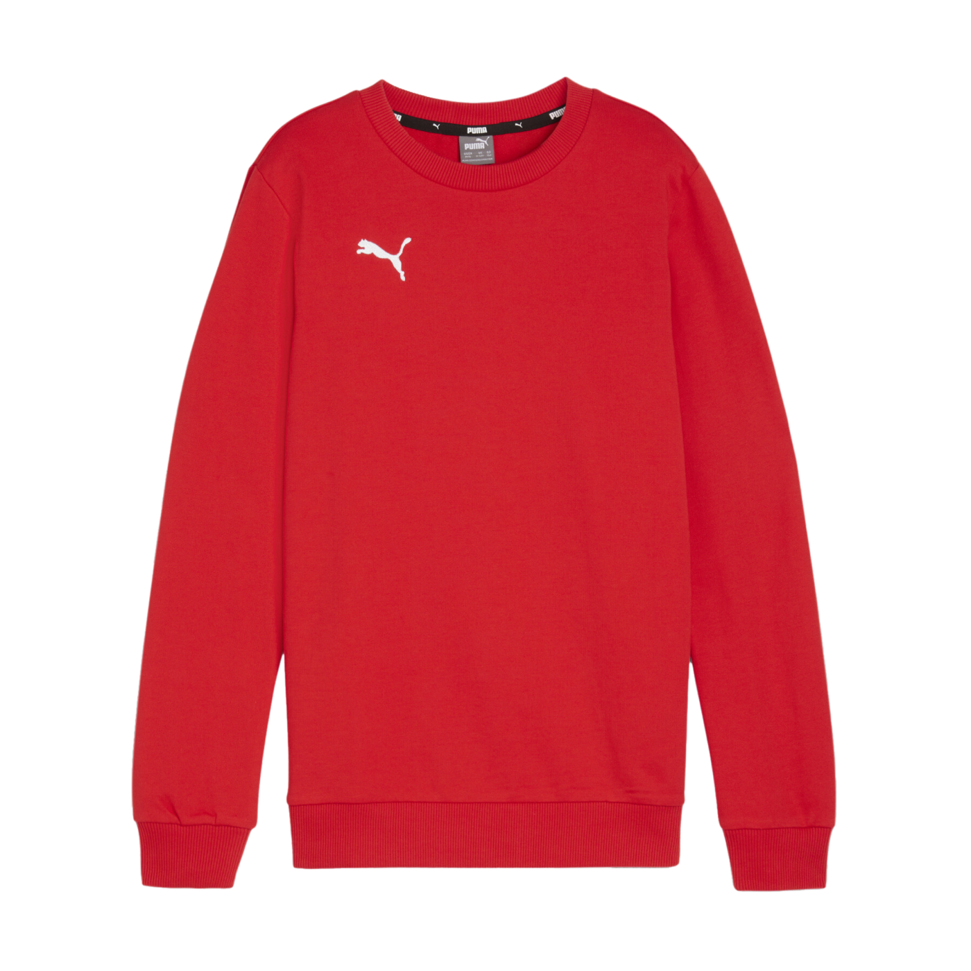PUMA teamGOAL Casuals Sweatshirt Kids Rpt F01