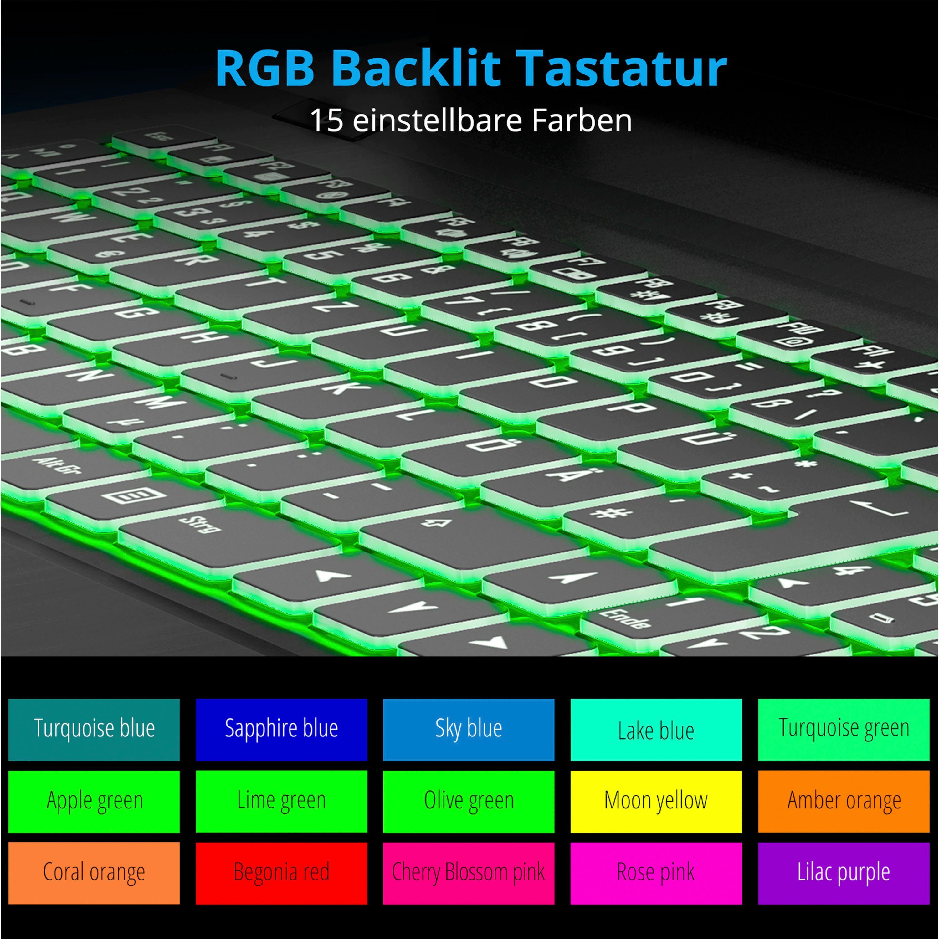 Medion® ERAZER® Scout E10 Gaming-Notebook (43,9 cm/17,3 Zoll, Intel Core i5 12450H, GeForce GTX 1650, 512 GB SSD)