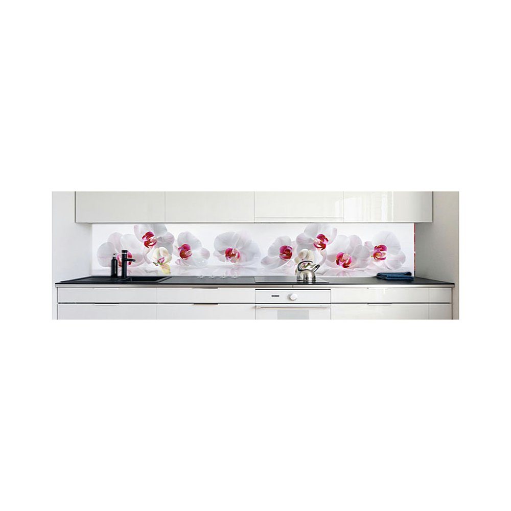 DRUCK-EXPERT Küchenrückwand Küchenrückwand Orchidee Premium Hart-PVC 0,4 mm selbstklebend