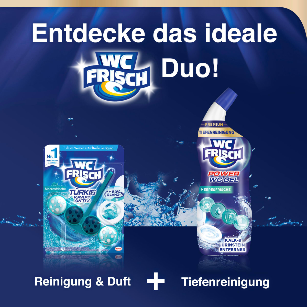 WC-Reiniger Power WC Gel&Meeresfrische, 750 ml