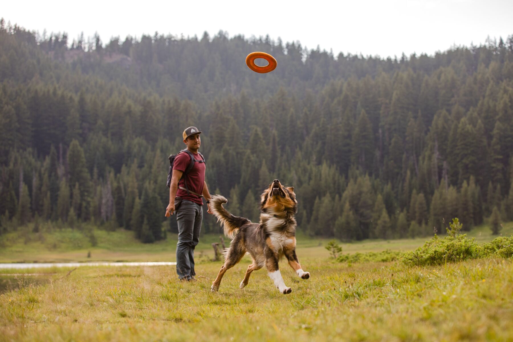 Ruffwear Wasserspielzeug Ruffwear Hydro Plane™ Spielzeug L orange