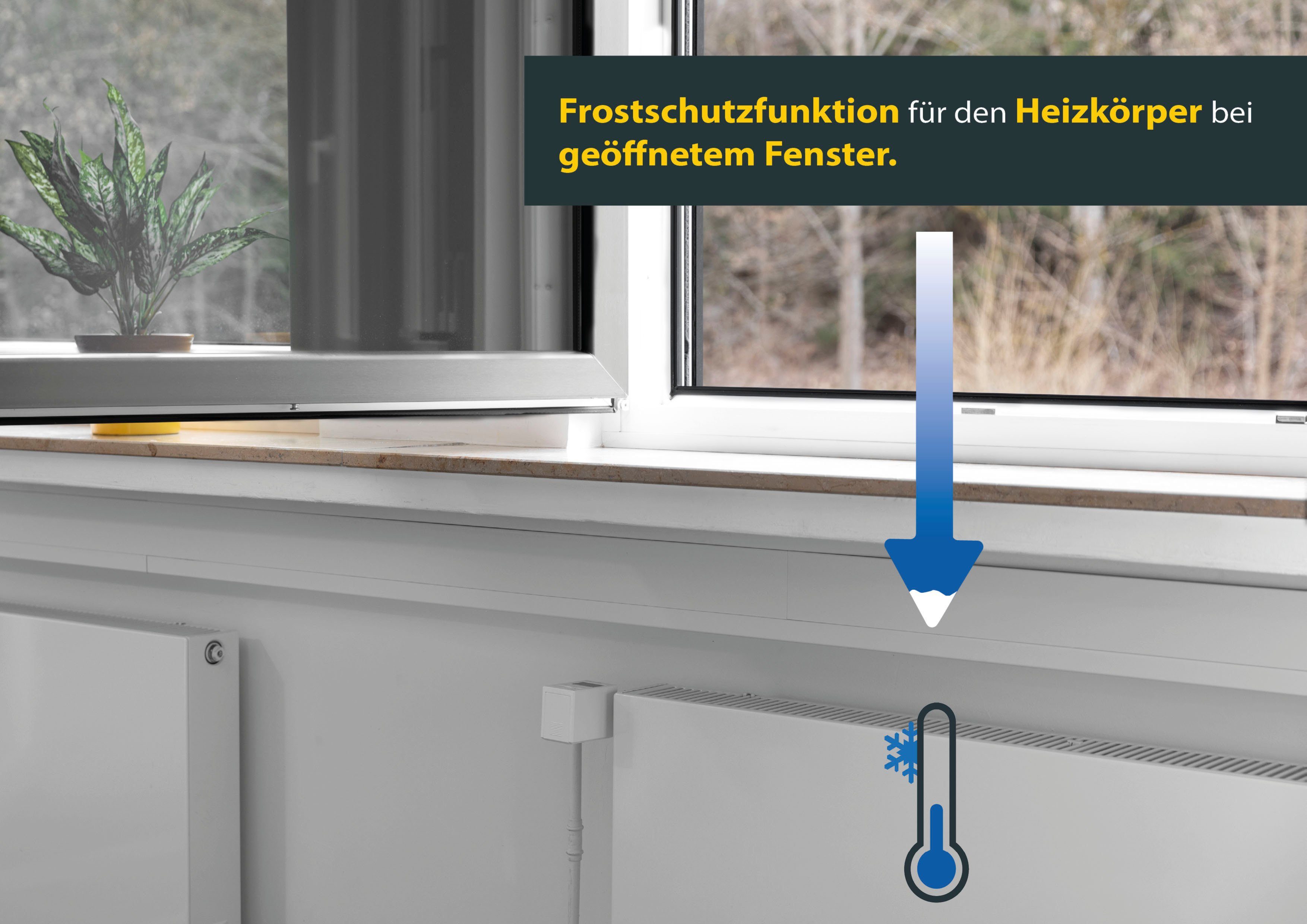 SCHELLENBERG Heizkörperthermostat Digital, 20101, (Inkl. Adapter-Set Danfoss RAV, RA, RAVL) einzeln, oder im 3er oder 5er Spar-Set erhältlich